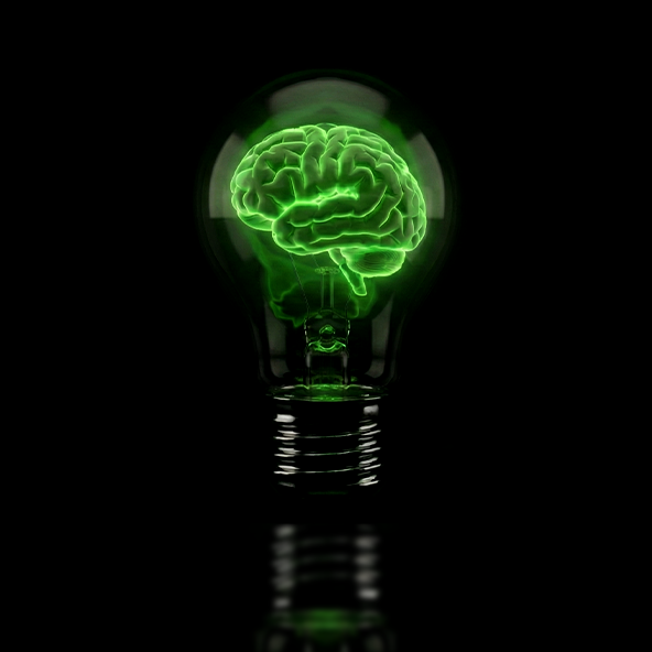 Consulting & Innovation